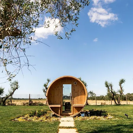 Podere Pietravento Agroturismo Campiglia Marittima