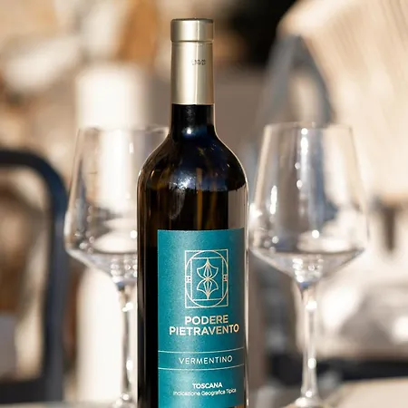 Podere Pietravento Farm stay