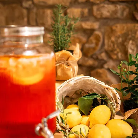 Podere Pietravento Farm stay Campiglia Marittima